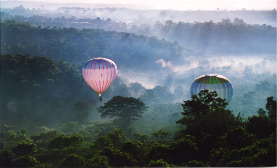 The lush rainforest in Costa Rica contains a canopy layer of wildlife that can't be accessed on foot. So Tucker Comstock, a ballooning friend of Malcolm Forbes, brought the first hot air balloon to Costa Rica in 1991 and now runs a full-service adventure tour company, Serendipity Adventures. 